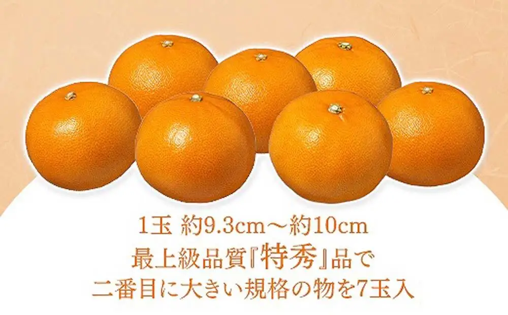 化粧箱 柑橘の大トロ ハウス せとか 厳選 大玉 7玉入