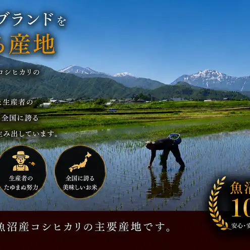 五つ星お米マイスター厳選 無洗米 魚沼産 コシヒカリ 5kg 6ヶ月連続 ご飯 白米 和食 ブランド米 銘柄米 おにぎり お弁当 産地直送 精米したて