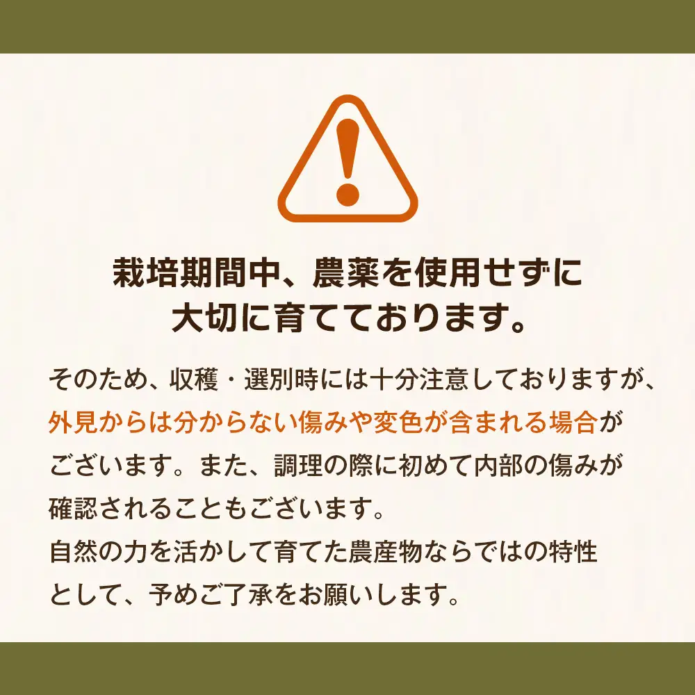 淡路島玉葱 5kg 【栽培期間中、無農薬栽培】サイズ混合SS～2L 玉ねぎ