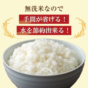 【ふるさと納税】令和8年産 福岡県産 ブランド米「元気つくし」無洗米 20kg [a6260] 株式会社 ゼロプラス 【返礼品】添田町 ふるさと納税