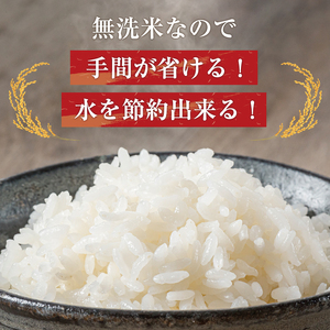 【ふるさと納税】令和8年産 福岡県産 ブランド米「夢つくし」無洗米 計10kg [a7247] 株式会社 ゼロプラス 【返礼品】添田町 ふるさと納税