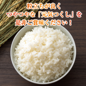 【ふるさと納税】令和8年産 福岡県産 ブランド米「元気つくし」白米 5kg [a6255] 株式会社 ゼロプラス 【返礼品】添田町 ふるさと納税