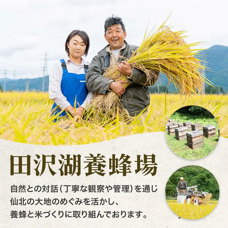 《令和8年産 新米予約》あきたこまち【玄米】30kg  秋田県産 お米 仙北市 30キロ 先行受付