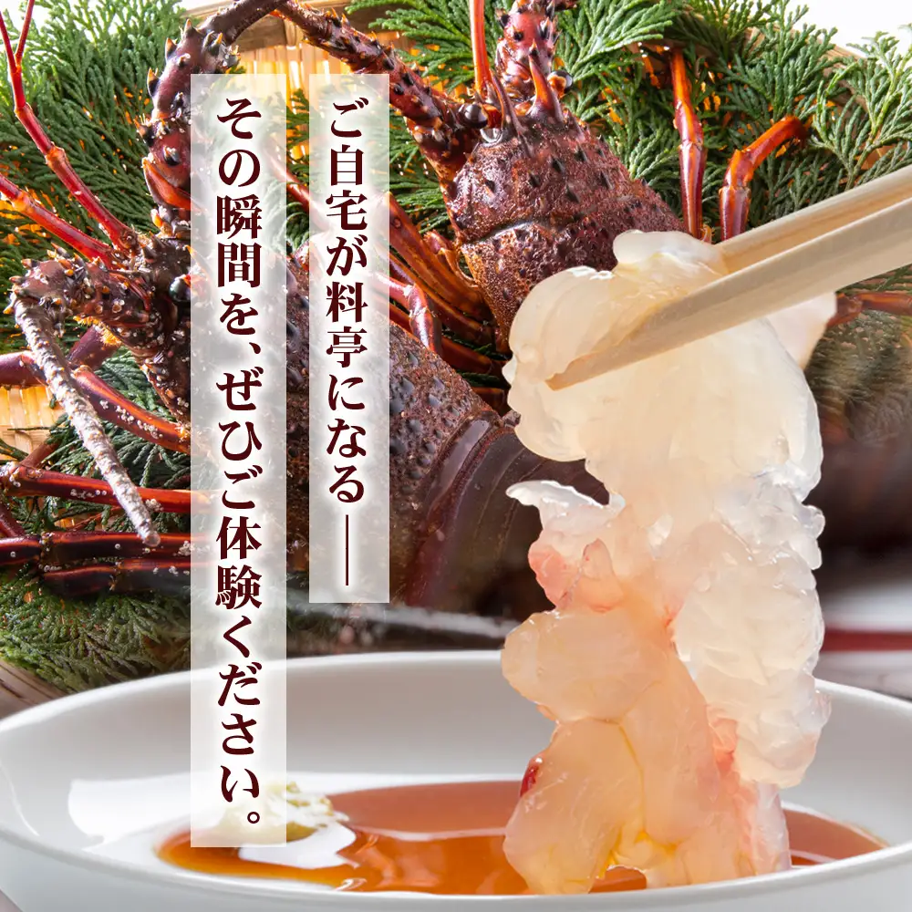 【数量限定・先行予約】鹿児島佐多岬 天然 活 伊勢海老 ＼＼約1kg 2～3尾／／ ≪2026年11月下旬より発送予定≫AB-501 ｜国産 えび イセエビ 伊勢エビ 常温 産地直送 天然 年末 天然 鹿児島県 南大隅町 本土最南端 佐多岬
