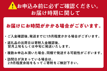 セントレアお食事券3,000円相当 中部国際空港 セントレア ランチ ディナー 空港 名古屋めし フードコート レストラン 飲食店 グルメ 飛行機を見ながら ボーイング787 お食事券 ご飲食券 食事 観光 家族 愛知県 常滑市