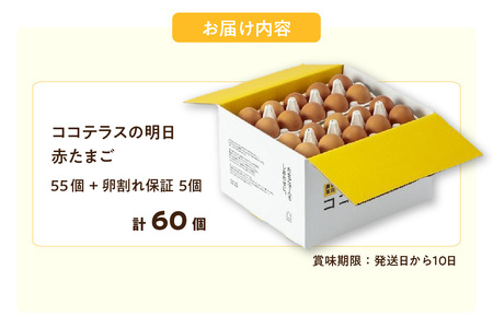 ココテラスの明日（赤たまご）55個 + 5個保証（計60個）【JGAP認証】 農家直送 新鮮 卵 タマゴ 赤卵 玉子 鶏卵 朝食 夕食 夜食 朝ごはん たまご焼き オムレツ 卵ご飯 料理 濃厚 飼料にこだわった 卵かけご飯 米たまご 生卵 大容量 お取り寄せ 愛知県 常滑市
