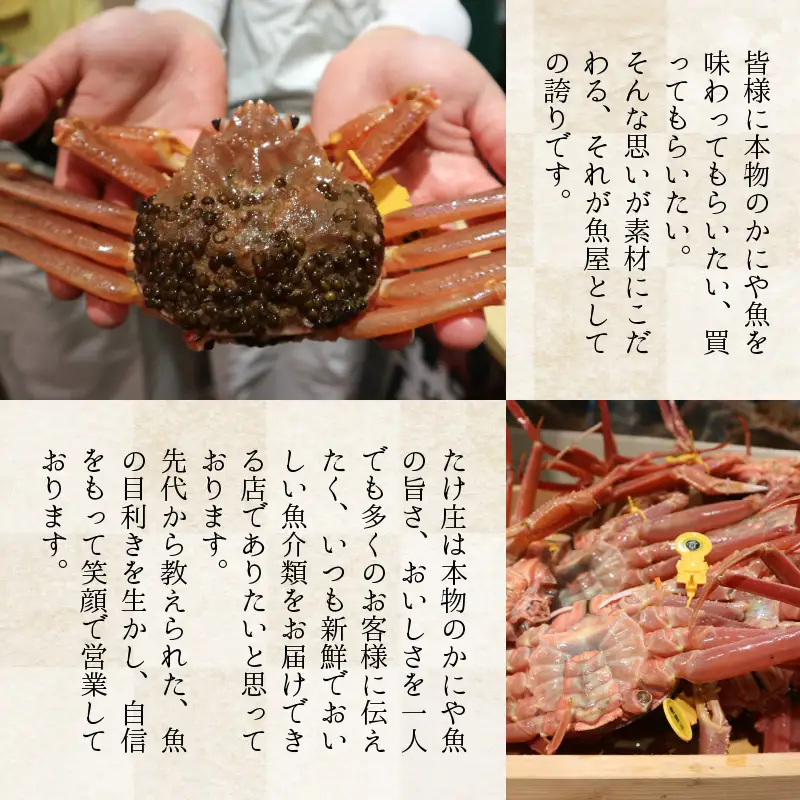 【先行予約】越前セイコ蟹『身出し』セット 5杯分【2026年11月～2027年1月発送予定】 [G-1604]