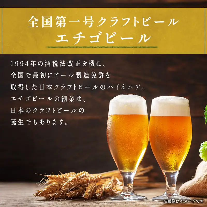 エチゴビール クラフトビール 12本 セット クラフトビール