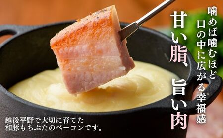 和豚もちぶた バラ ベーコン ブロック 1kg もち豚 お肉 肉 豚肉 豚 おかず 惣菜 朝ごはん お弁当 バーベキュー BBQ 冷凍 新潟県 新潟 