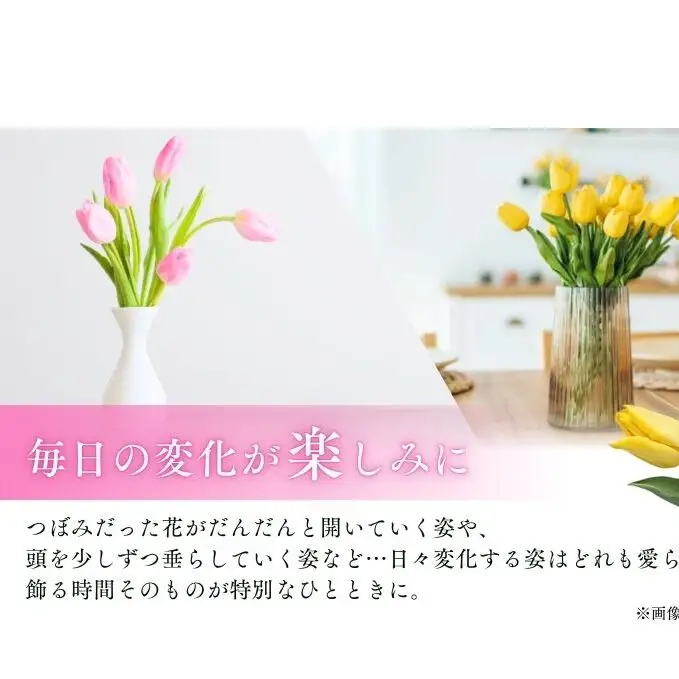 フラワーファームしろねのチューリップ切花20本（黄・ピンク　各10本） 植物 花束 