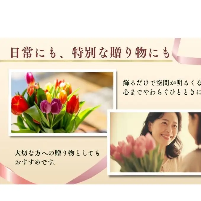 フラワーファームしろねのチューリップ切花50本おすすめアソート（5品種×各10本） 植物 花束 