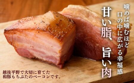 バラとショルダー 2種のベーコン 6ブロック 1.8kg ベーコン ブロック 詰め合わせ セット 食べ比べ 和豚もちぶた もち豚 お肉 肉 豚肉 豚 おかず 惣菜 朝ごはん お弁当 バーベキュー BBQ 小分け バラ ショルダー 冷凍 新潟県 新潟 