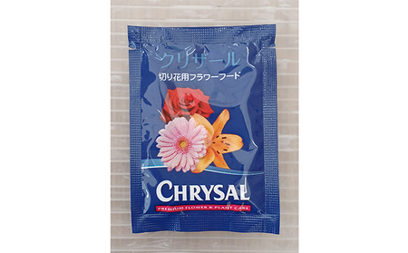 フラワーファーム しろねのユリ 切花5本（産地おすすめ花色）10月発送 植物 切り花 ゆり 白い花 ピンクの花 花束 