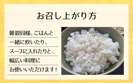 【今庄産100％使用】そばの実 1kg [B-006019] 健康食 低GI