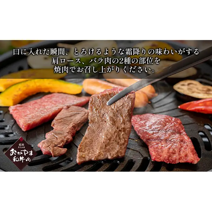 定期便 12ヶ月 おかやま 和牛肉 A4等級以上 食べ比べ 毎月 約450g×12回 牛肉