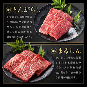 神戸牛 お中元 焼肉 希少部位 5種 400g 神戸牛