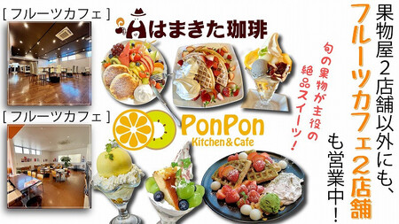 月の旬果定期便♪(12ヶ月連続)