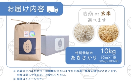 【先行予約】【令和7年産】特別栽培米あきさかり 10kg（玄米）受賞歴多数！福井県 坂井町産 【特別栽培米 白米 玄米 お米】【2025年9月下旬より順次発送予定】 [B-4805_02]