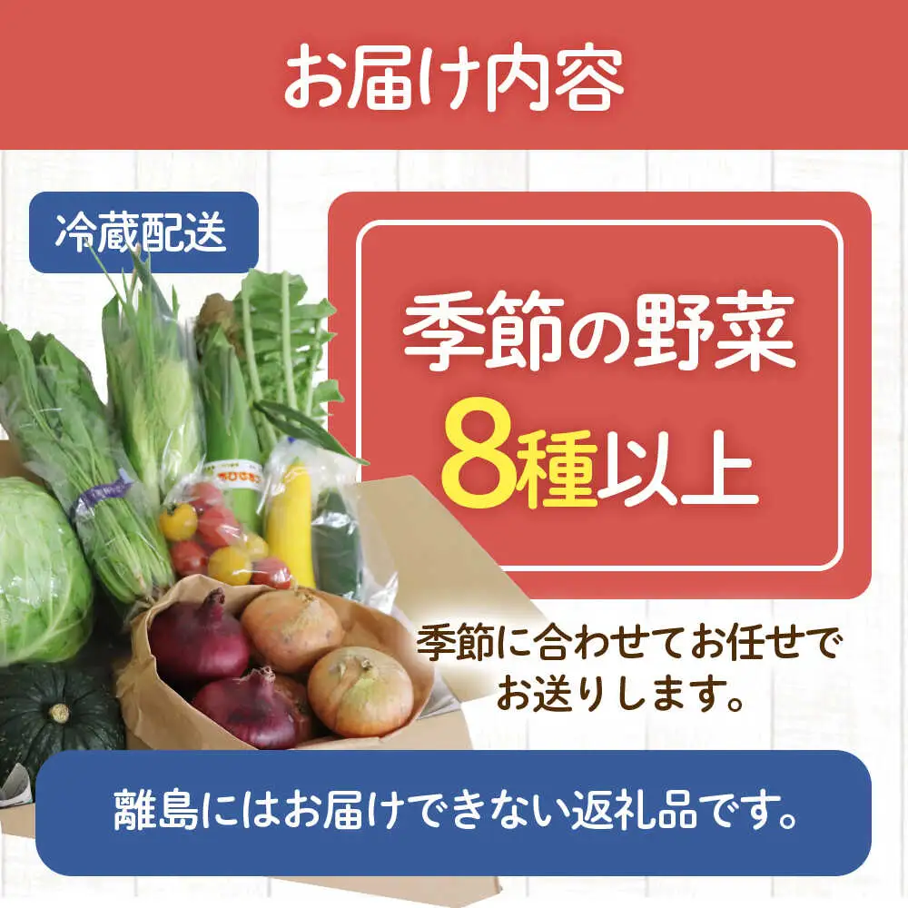 鯖街道からお届けする季節の新鮮野菜セット 8種以上[A-023004] [BFAN006]
