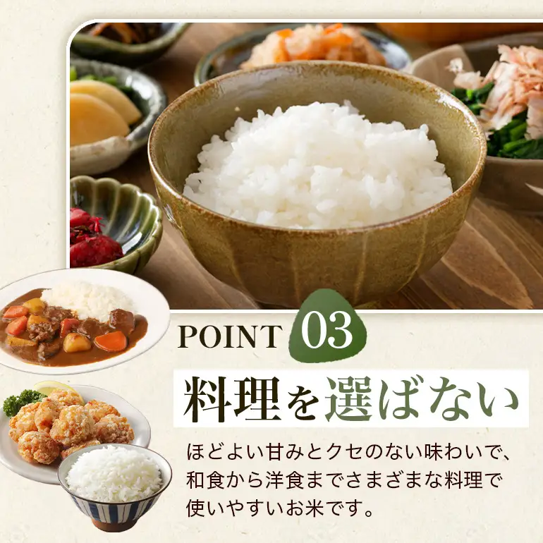 ひのひかり 米 お米 白米 20kg 令和8年産 新米 【JA福岡くるめ にじの耳納の里】 A01-011-PD03-20