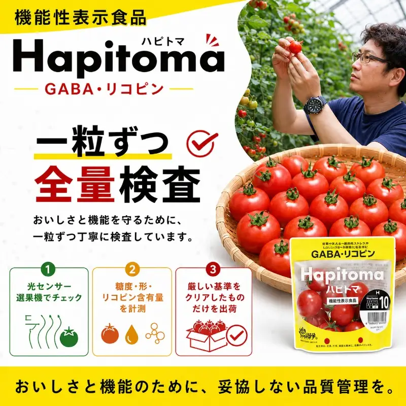 トマト ハピトマ 訳あり 1.8kg 野菜 緑黄色野菜 トマト