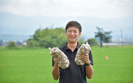 にんにく 《先行予約・2026年発送》 最上伝承野菜 【最上赤にんにく】 450g（バラ） ニンニク 薬味 ガーリック F3S-2482