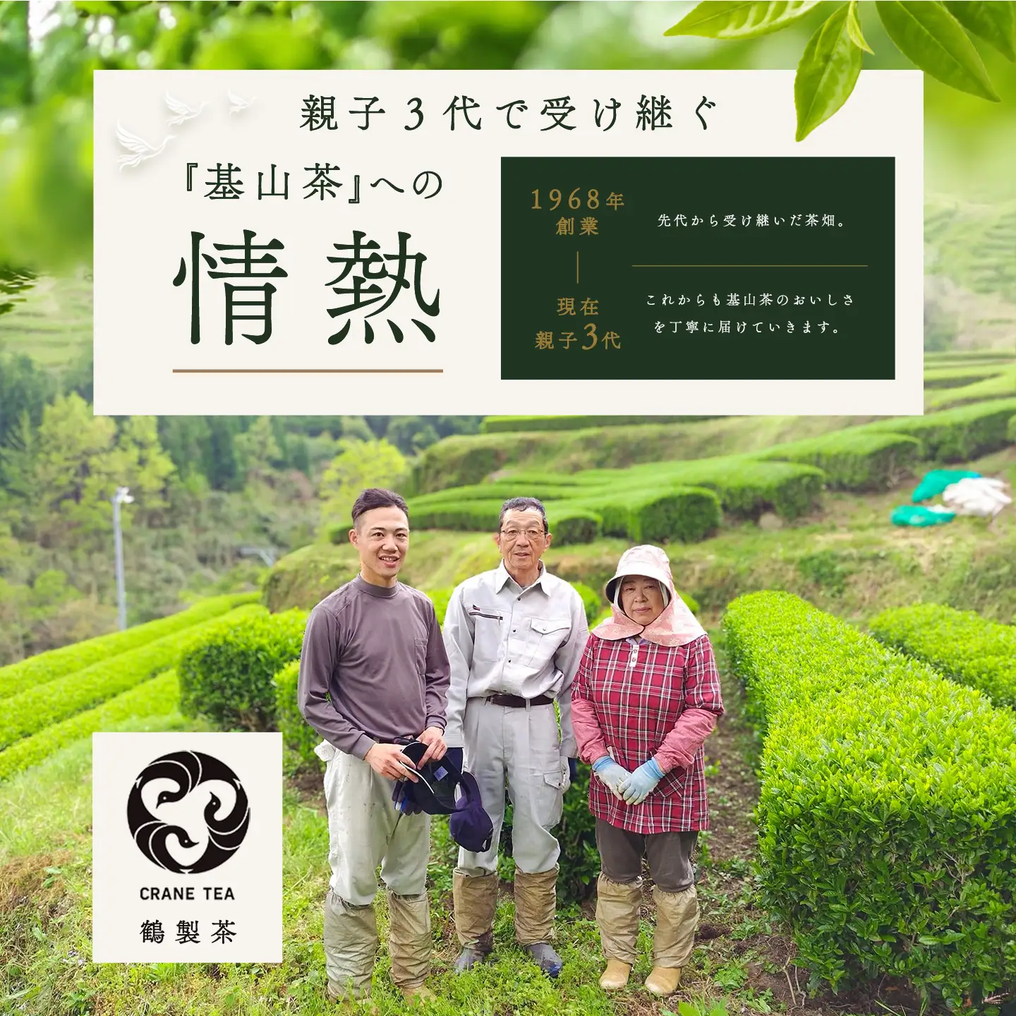 【無農薬栽培】基山茶特上煎茶3袋セット K009010