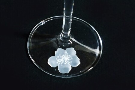 桜の食前酒トールグラス(2個入) K024077