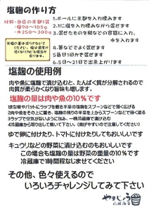 【無添加 生米麹】肥料不使用の自然栽培米のみで作った米麹300g×10袋 H140-034
