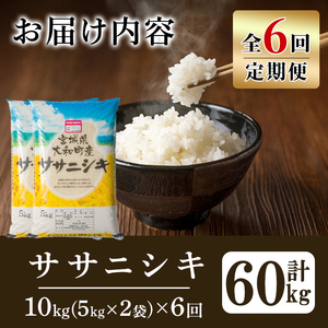 【令和8年産】＜6か月定期便＞特別栽培米 ササニシキ 10kg×6回(合計60kg) お米 おこめ 米 コメ 白米 ご飯 ごはん おにぎり お弁当 頒布会【農事組合法人若木の里】ta546