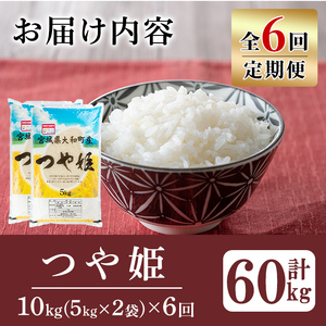【令和8年産】＜6か月定期便＞特別栽培米 つや姫 10kg×6回(合計60kg) お米 おこめ 米 コメ 白米 ご飯 ごはん おにぎり お弁当 頒布会【農事組合法人若木の里】ta550