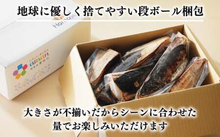 B級品 訳あり かつおのたたき 3kg 10000円 フードロス 削減 打ち身 皮はげ 傷 かつお サイズ 不揃い 規格外 小分け 真空 パック 鮮魚 天然 鰹 四国一 水揚げ タタキ 冷凍 大容量 人気 ハマスイ 愛南町 愛媛県