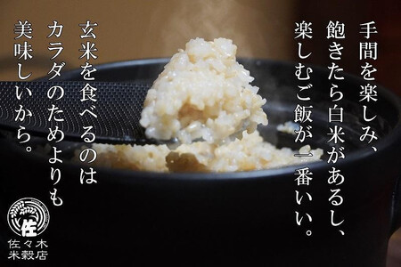 五つ星お米マイスター 厳選 盛岡市産 銀河のしずく 10kg 5kg×2袋 玄米 米 こめ コメ お米 ご飯 ごはん ライス グルメ 五つ星 5つ星 5ツ星 お米マイスター 5kg 5キロ 単品 単一原料米 銘柄米 小分け ブランド米 総量 10kg 国産 産地直送 盛岡 佐々木米穀店