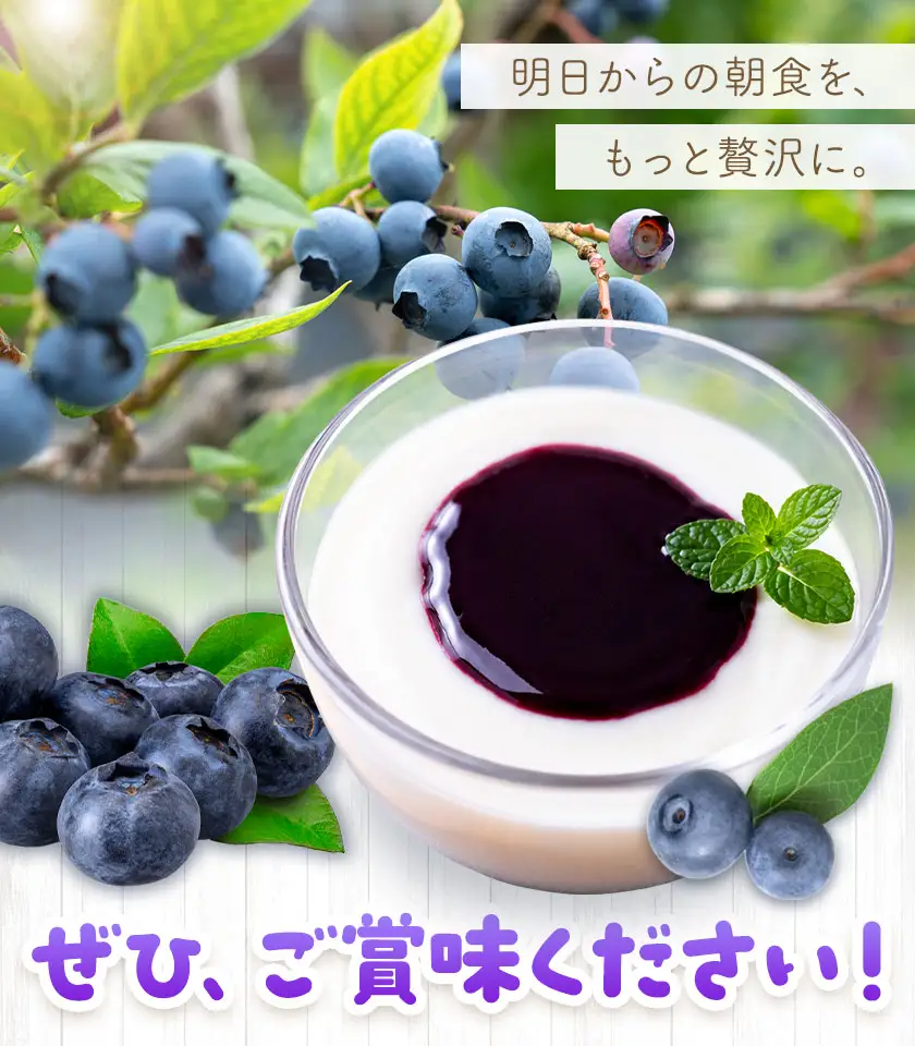 ブルーベリー ソース 170g 6本 田野農園《30日以内に出荷予定(土日祝除く)》鹿児島県 さつま町