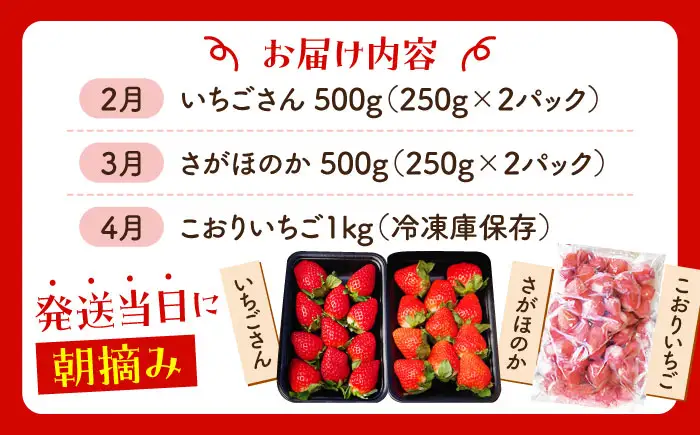 【先行予約】【全3回定期便】さがほのかいちごさん冷凍いちご HAF027 果物 フルーツ