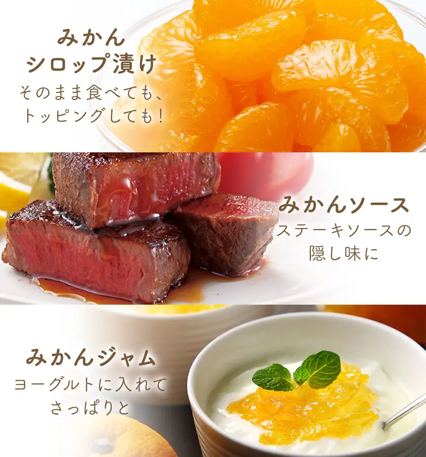 十万みかん 加工品3種セット ソース ジャム シロップ漬け 各1個 田野農園《30日以内に出荷予定(土日祝除く)》鹿児島県 さつま町