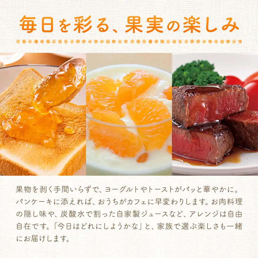 加工品4種セット ソース 2種 ジャム シロップ漬け 各1個 田野農園《30日以内に出荷予定(土日祝除く)》鹿児島県 さつま町