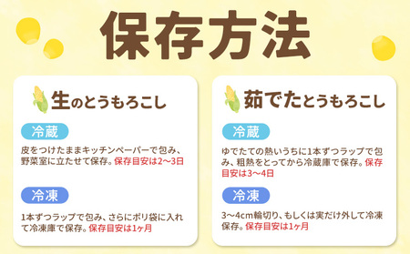 【2026年先行予約】「ほしつぶコーン」10本 