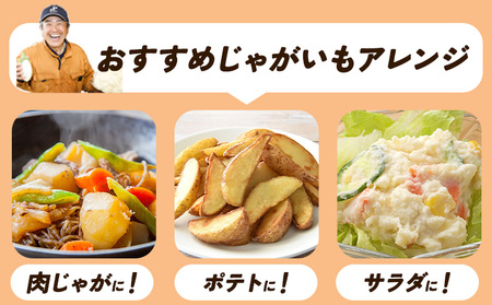 じゃがいも6種の彩りセット 1kg × 6袋 じゃがいも メークイン キタアカリ 男爵 シャドークイーン ノーザンルビー レッドムーン 