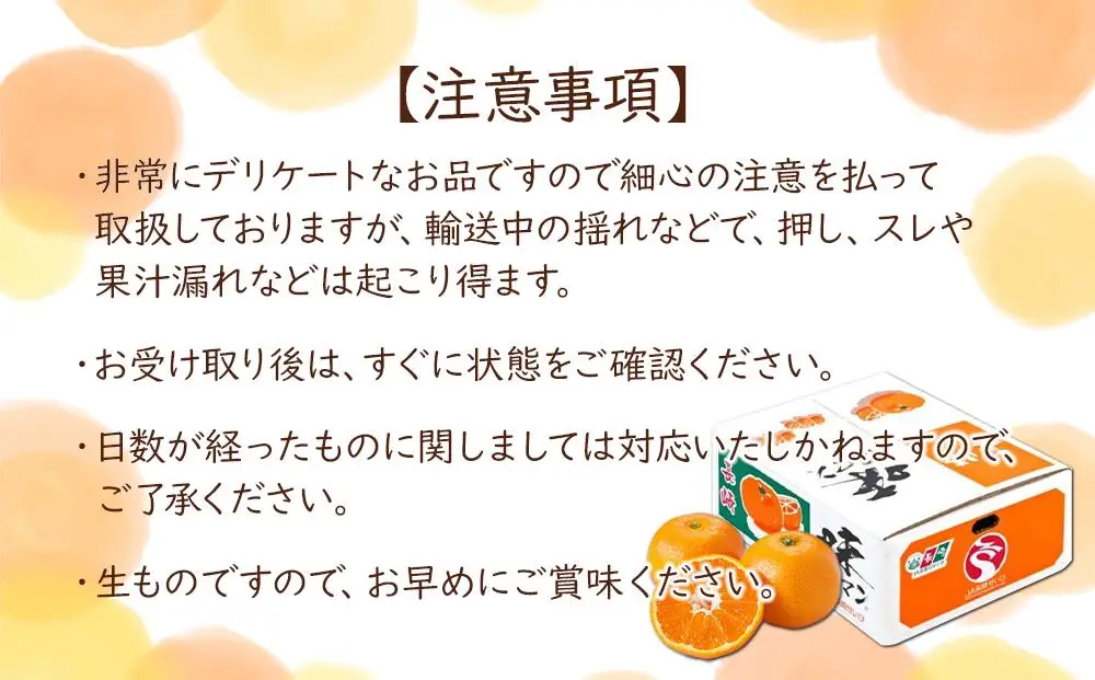 【糖度12度以上！】長崎県産 みかん 味ロマン 約10kg ＜期間限定／先行予約＞【2026年11月中旬以降順次発送】｜みかん 柑橘