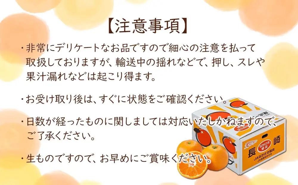 【糖度12度以上！】長崎県産 みかん 味ホープ 約10kg＜期間限定／先行予約＞【2026年11月中旬以降順次発送】｜みかん 柑橘