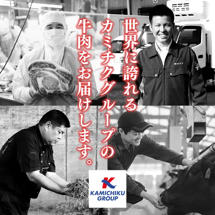 A5等級 黒毛和牛 鹿児島県産 サーロインステーキ スティック 250g ステーキ【LRプラスK】No.506-01