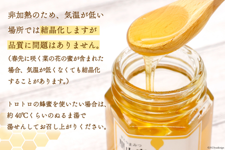 里山蜜 160g×2本