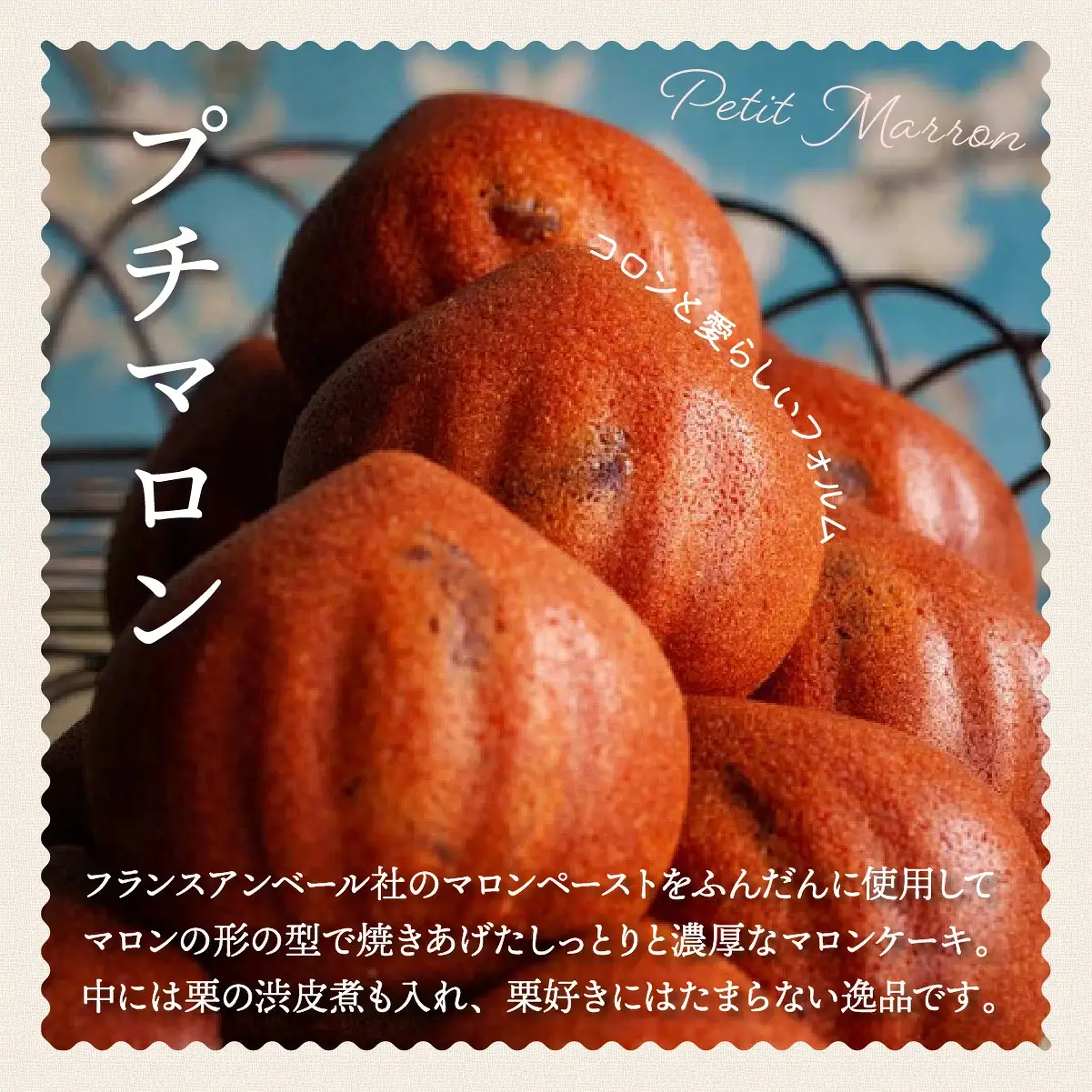 お米の焼菓子詰合せ 19個入
