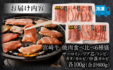 宮崎牛 焼肉食べ比べ6種盛 600g 焼き肉 バーベキュー 霜降り