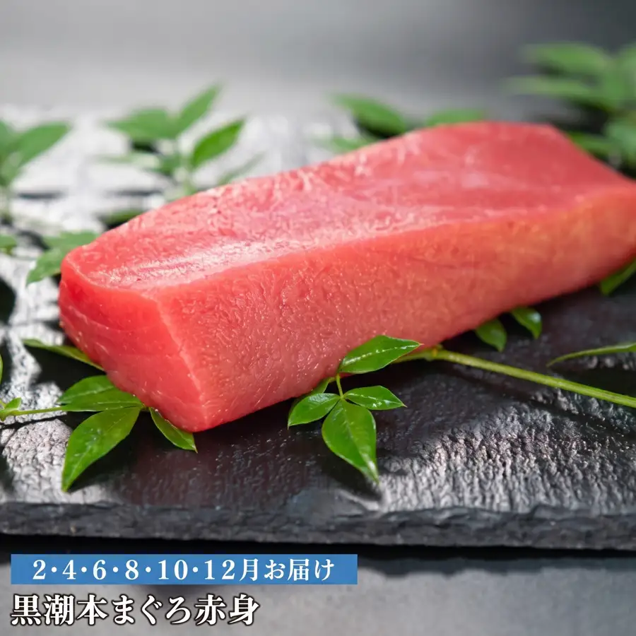 訳あり 不定貫 定期便6回 日本一!黒潮本まぐろ 赤身 (PT0080_0523)