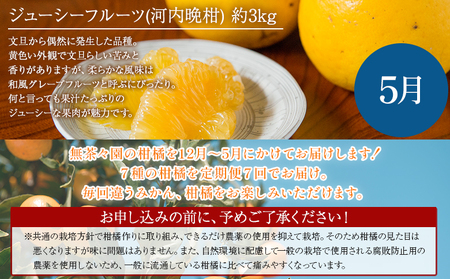 ＜無茶々園の柑橘頒布会 定期便 7回＞ 果物 フルーツ 温州みかん ミカン 蜜柑 ポンカン 伊予柑 いよかん 不知火 しらぬい 甘夏 あまなつ 河内晩柑 かわちばんかん ひょう柑 ひょうかん 無茶々園 愛媛県 西予市【常温】『2024年12月に第1回目を順次出荷予定』AMC0029