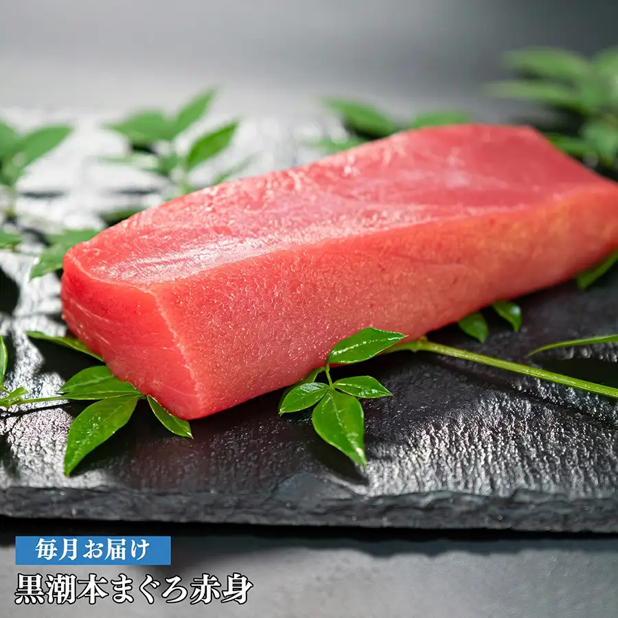 【12回お届け定期便】赤身 本マグロ 定期便 PT0080_0524