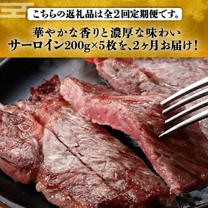 【全2回定期便】 サーロイン ステーキ 200g × 5枚 [ABCL018] 
