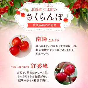 さくらんぼ 600g 南陽 2Lサイズ以上 サクランボ